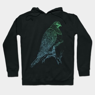 Mr Kereru, New Zealand wood pigeon Hoodie